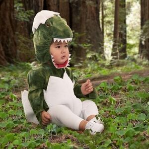 Pottery Barn Dinosaur Costume 12-24 months